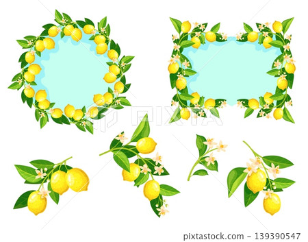 Lemon branches. Citrus flowering tree branches, tropical mediterranean fruits italian lemonade cooking juice summer spring blossom frame wreath border, neat vector illustration 139390547