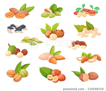 Cartoon nuts seeds. Almond peanut walnut hazelnut cashew pistachio pecan macadamia chestnut brazil nut sunflower pumpkin seed healthy snack food set neat vector illustration 139390559
