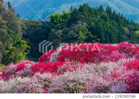 Hanamomo no Sato, Achi Village, Nagano Prefecture Hanamomo no Sato, Achi Village, Nagano Prefecture 139390596