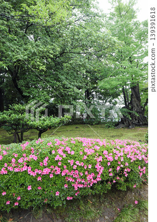 春天Kenrokuen 春天Kenrokuen 139391618