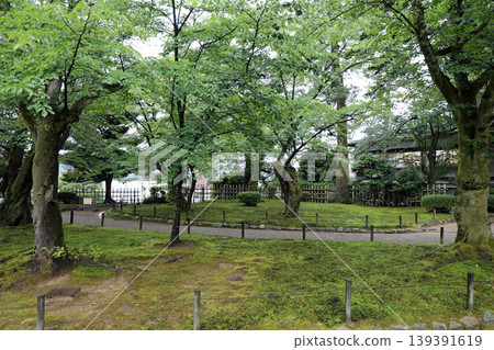 春天Kenrokuen 春天Kenrokuen 139391619