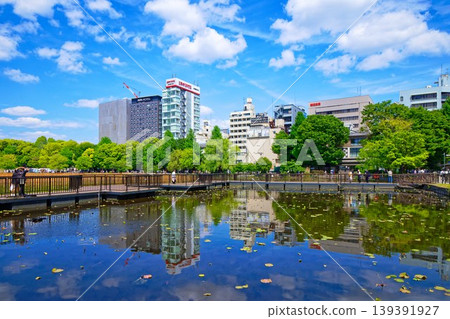 Lotus pond of young leaves and fresh green and the surrounding scenery where the blue sky spreads Lotus pond of young leaves and fresh green and the surrounding scenery where the blue sky spreads 139391927