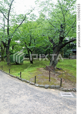 Spring Kenrokuen Spring Kenrokuen 139392033