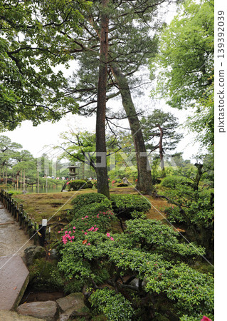 Spring Kenrokuen 139392039