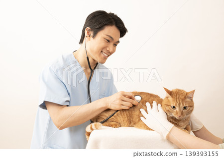 Veterinarian examining a tabby cat 139393155