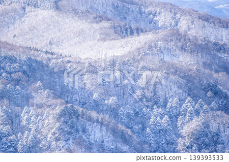 The snow-covered mountain slopes as seen from the Venus Line 139393533