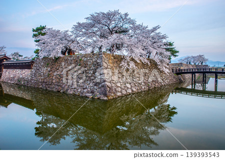 黎明時分,松代城遺址的櫻花盛開 黎明時分,松代城遺址的櫻花盛開 139393543