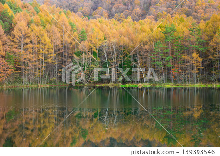 Autumn scenery of Mishaka Pond Autumn scenery of Mishaka Pond 139393546