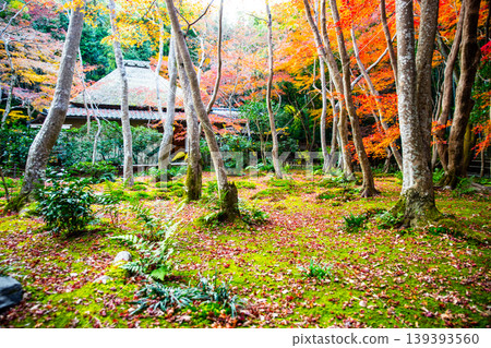 Autumn leaves of Gion in Kyoto 139393560