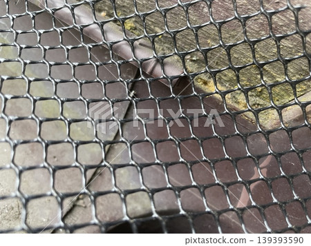 Installing leaf guard mesh in gutter Installing leaf guard mesh in gutter 139393590