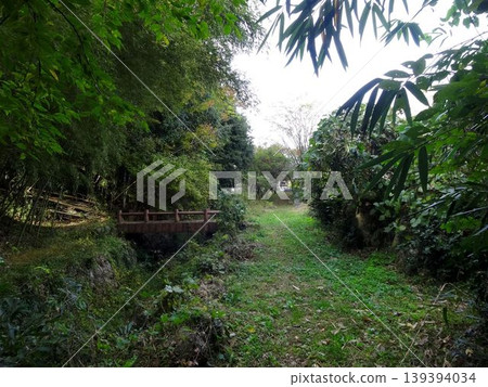 A lush waterway and path with a small bridge. 139394034