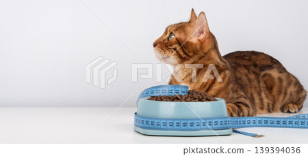 Bengal cat near food bowl with measuring tape looking away, pet diet concept Bengal cat near food bowl with measuring tape looking away, pet diet concept 139394036