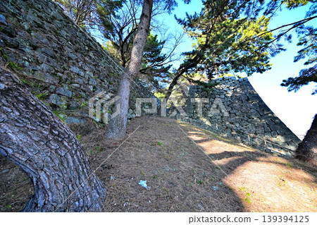 Fukuoka Prefecture, Chikugo, Kurume Castle Fukuoka Prefecture, Chikugo, Kurume Castle 139394125