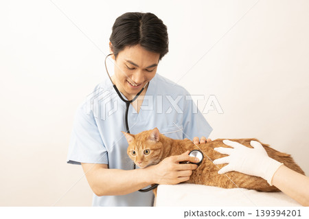 獸醫正在檢查一隻虎斑貓 139394201