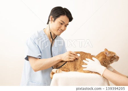 Veterinarian examining a tabby cat Veterinarian examining a tabby cat 139394205