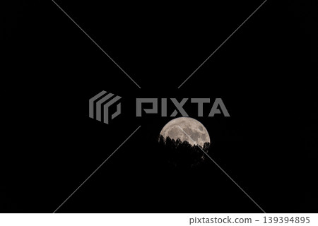 Moonlit Canopy: Full Moon Ascending Through Forest Veil Moonlit Canopy: Full Moon Ascending Through Forest Veil 139394895