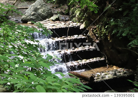 Shasui Falls (Yamashita Town, Ashigarakami District, Kanagawa Prefecture) and the Takizawa River flowing like a staircase. 139395001