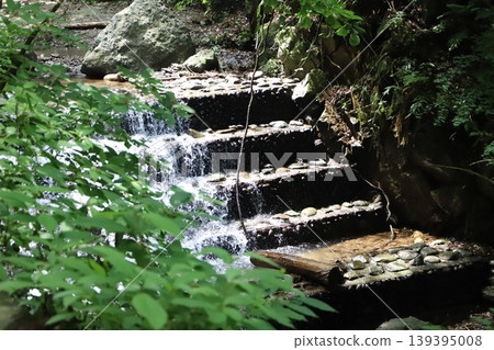 Shasui Falls (Yamashita Town, Ashigarakami District, Kanagawa Prefecture) and the Takizawa River flowing like a staircase. 139395008