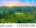 Scenic of Tegalalang rice terrace in Bali, Indonesia. 139395106