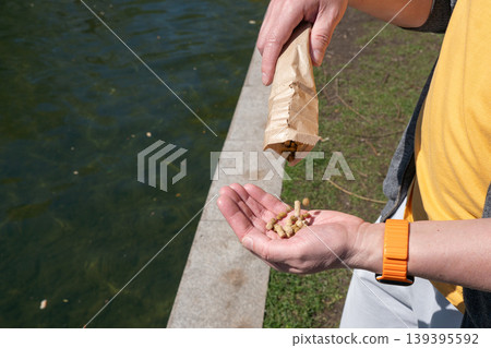 Man pours bird feed from paper bag into hand near water edge under daylight with close up detail of feeding preparation. Animal care, outdoor activity, wildlife feeding, park leisure Man pours bird feed from paper bag into hand near water edge under daylight with close up detail of feeding preparation. Animal care, outdoor activity, wildlife feeding, park leisure 139395592