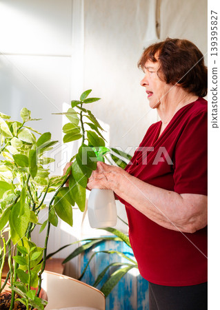 Elderly female watering leaves and soil of indoor plants. Calm domestic scene. Concept of healthy retirement and hobby. Vertical Elderly female watering leaves and soil of indoor plants. Calm domestic scene. Concept of healthy retirement and hobby. Vertical 139395827