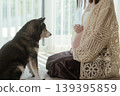Maternity photos of expectant mothers and their pets 139395859