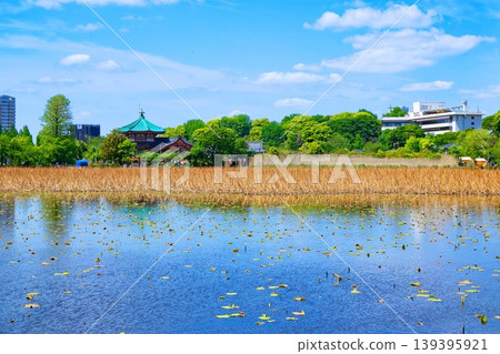 荷花池，綠葉蔥蘢；上野弁財天神社；上野清養軒餐廳。 139395921