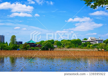 The lotus pond with its fresh green leaves, Ueno Benzaiten Shrine, and Ueno Seiyoken restaurant. The lotus pond with its fresh green leaves, Ueno Benzaiten Shrine, and Ueno Seiyoken restaurant. 139395922