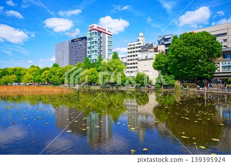 年輕的葉子和新鮮的綠色的蓮花池和藍天蔓延的周圍的風景 年輕的葉子和新鮮的綠色的蓮花池和藍天蔓延的周圍的風景 139395924