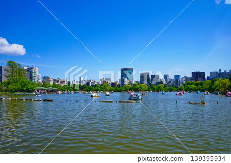 上野公園的忍池上,遊船點綴著新鮮的綠葉和新生的嫩芽。 上野公園的忍池上,遊船點綴著新鮮的綠葉和新生的嫩芽。 139395934