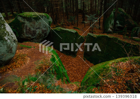 dusk forest moss cover rocky canyon landscape scenery view dusk forest moss cover rocky canyon landscape scenery view 139396318