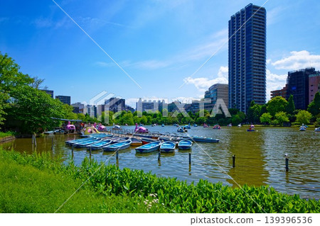 上野公園的不忍池和遊船,綠葉蔥蘢,生氣勃勃。 上野公園的不忍池和遊船,綠葉蔥蘢,生氣勃勃。 139396536