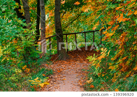 October autumn forest path dirt foot trail surrounded by vibrant seasonal foliage and fallen leaves on the ground in a natural setting October autumn forest path dirt foot trail surrounded by vibrant seasonal foliage and fallen leaves on the ground in a natural setting 139396920