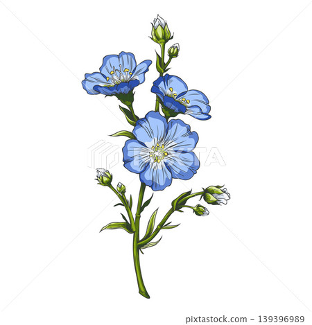 Flax branch with blue flowers sketch, vector hand drawn organic superfood foliage, essential herb, medicinal plant Linen Flax branch with blue flowers sketch, vector hand drawn organic superfood foliage, essential herb, medicinal plant Linen 139396989
