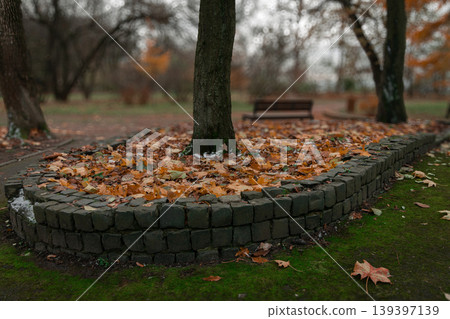 Misty autumn park path with fallen leaves and an empty bench in the distance Misty autumn park path with fallen leaves and an empty bench in the distance 139397139