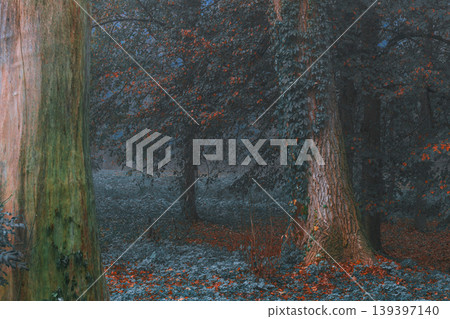 October season forest landscape scene with trees and orange falling leaves October season forest landscape scene with trees and orange falling leaves 139397140