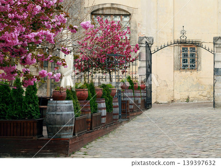 Charming aged city square with blooming Sakura trees and rustic barrels Charming aged city square with blooming Sakura trees and rustic barrels 139397632