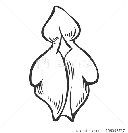 Chia plant flower ink sketch, vector engraved hand drawn Salvia hispanica, blossom plant, seasoning herb 139397717