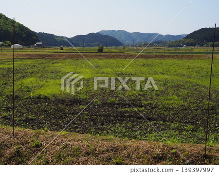 Nostalgic landscape Nostalgic landscape 139397997