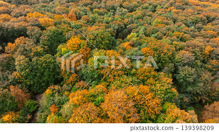 Aerial view of a vibrant forest canopy displaying autumn colors in October 139398209