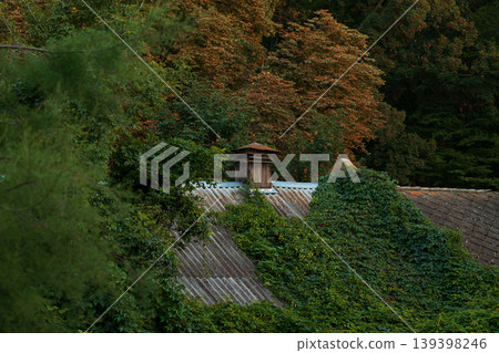 A weathered roof with a chimney surrounded by lush greenery and trees with autumn foliage in the background A weathered roof with a chimney surrounded by lush greenery and trees with autumn foliage in the background 139398246