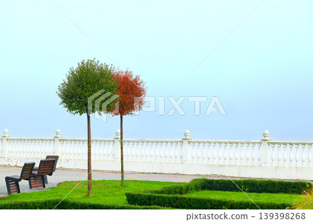 Misty park with two ornamental trees and benches overlooking the sea 139398268