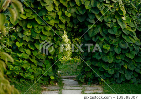 Stone path leads through a lush green archway covered in dense foliage and leaves Stone path leads through a lush green archway covered in dense foliage and leaves 139398307