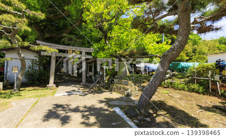Early summer at Shirahige Shrine Early summer at Shirahige Shrine 139398465