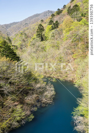 群馬縣中之條町奧島湖畔的鬱鬱蔥蔥綠意 139398756