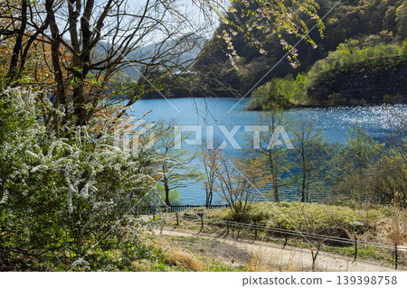 Okushima Lake in the fresh greenery - Inaho Seseragi Park Okushima Lake in the fresh greenery - Inaho Seseragi Park 139398758