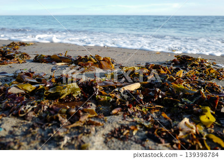 Where the land meets the sea, small waves reaching the shore showing sand, sea-weed, bubbles of foam on the tide line 139398784