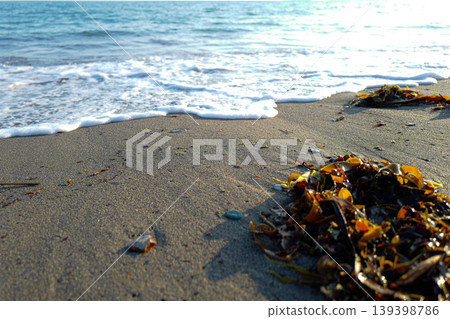 Where the land meets the sea, small waves reaching the shore showing sand, sea-weed, bubbles of foam on the tide line Where the land meets the sea, small waves reaching the shore showing sand, sea-weed, bubbles of foam on the tide line 139398786