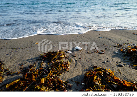 Where the land meets the sea, small waves reaching the shore showing sand, sea-weed, bubbles of foam on the tide line 139398789