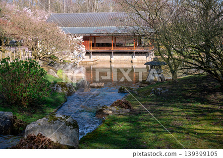 Traditional water garden landscape. Springtime Japanese garden with pavilion and stream Traditional water garden landscape. Springtime Japanese garden with pavilion and stream 139399105